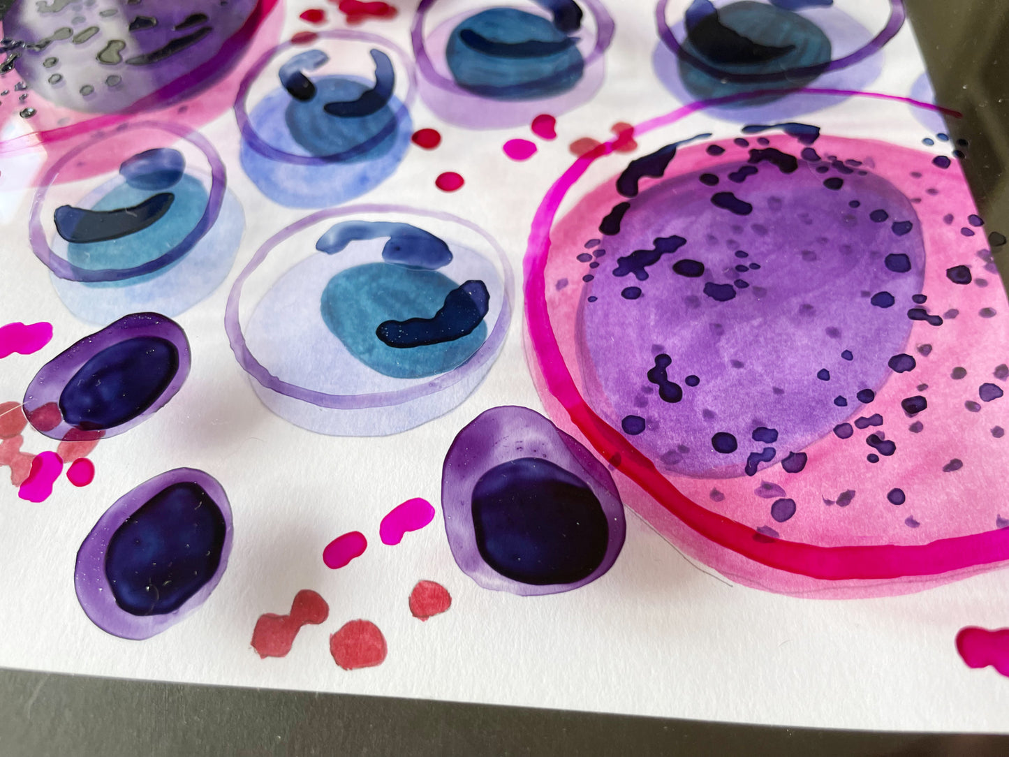 Blood cells