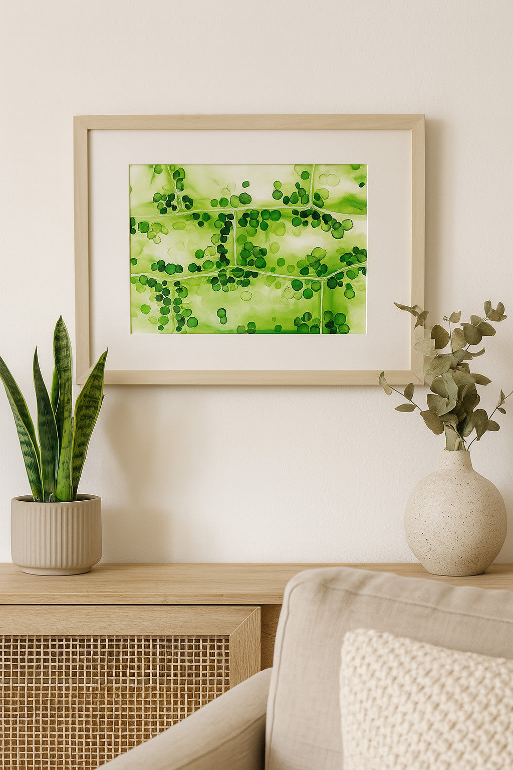 Elodea 2