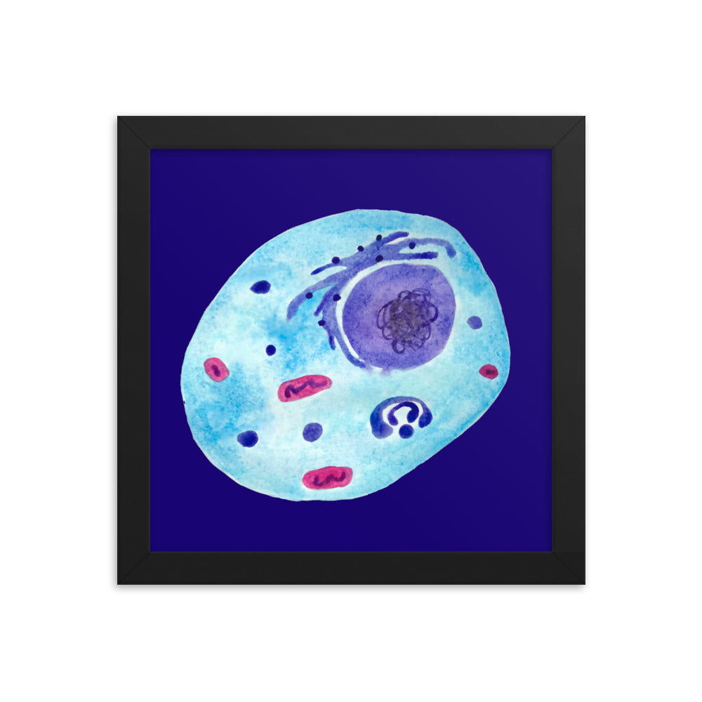 Animal cell Framed poster