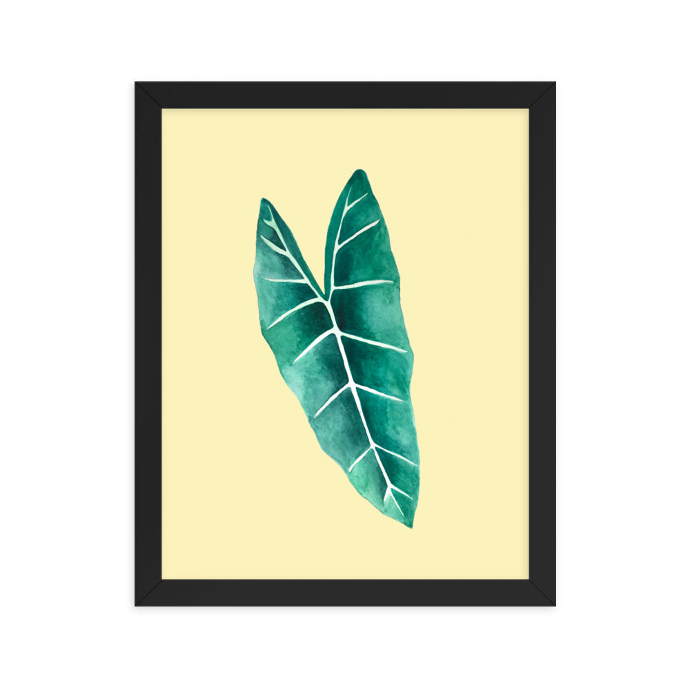 Alocasia Framed poster