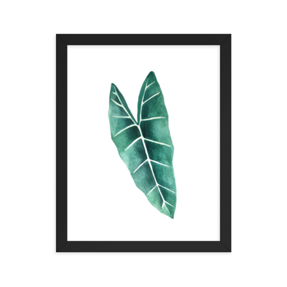 Alocasia Framed poster