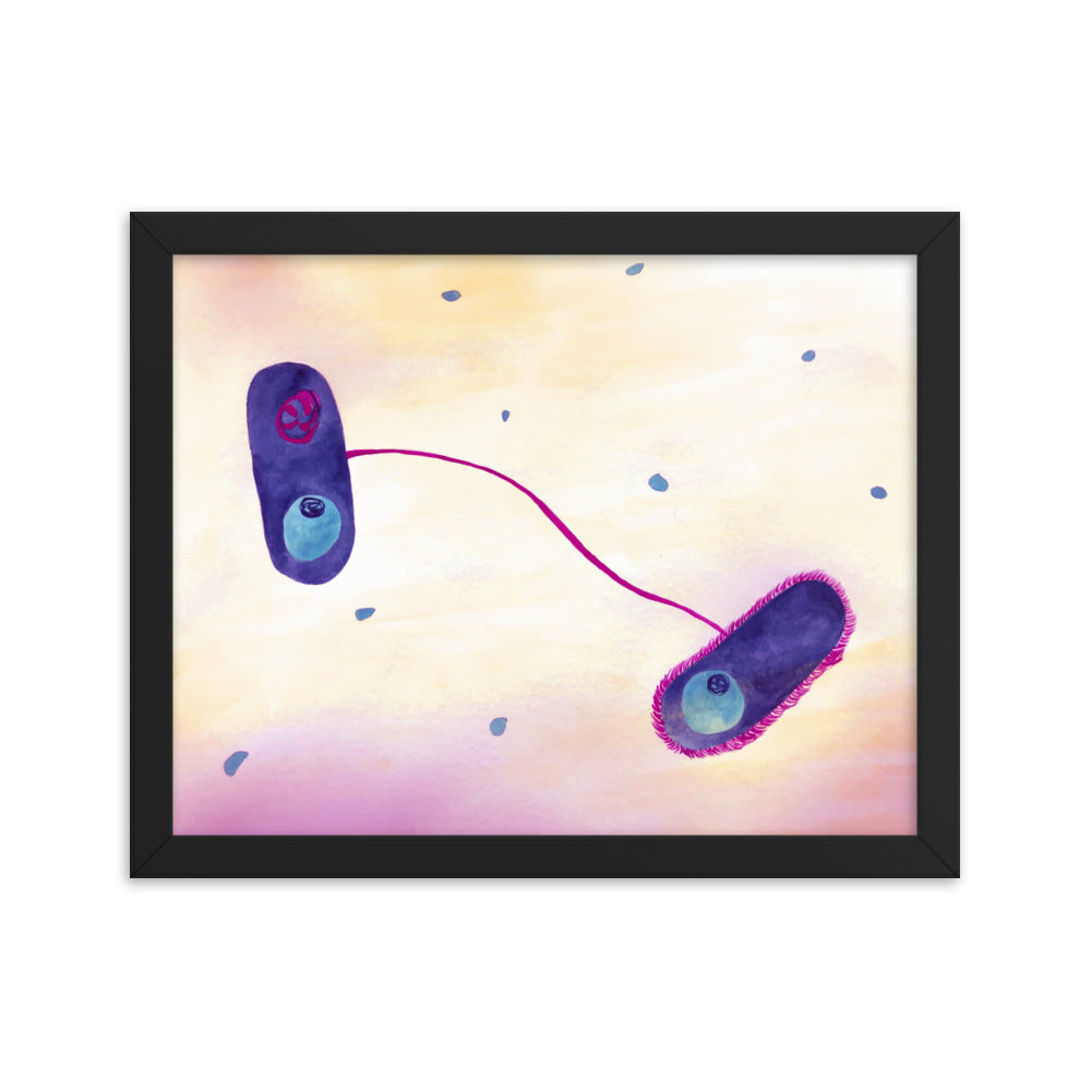 E. coli Framed poster