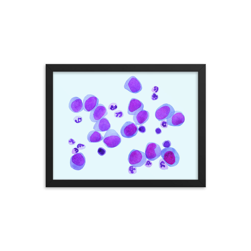 Blood cells on blue Framed poster