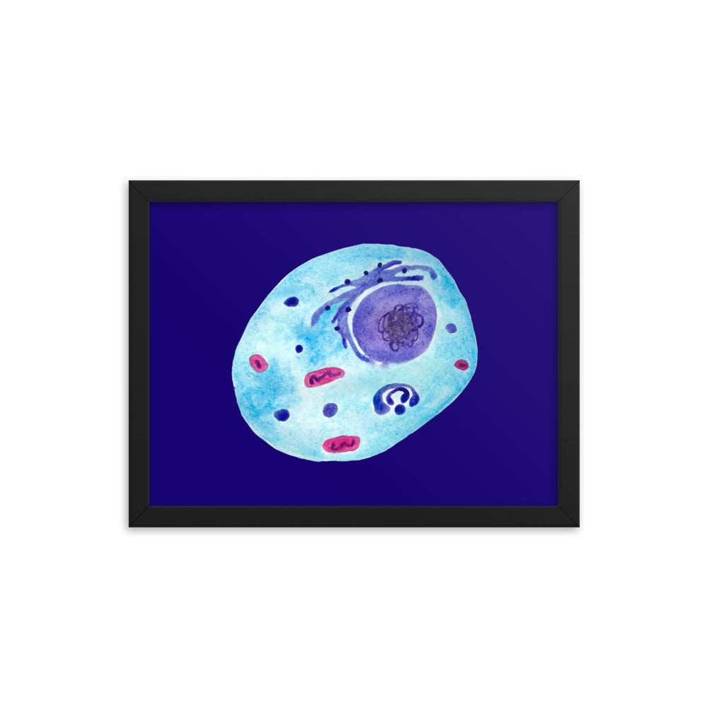 Animal cell Framed poster