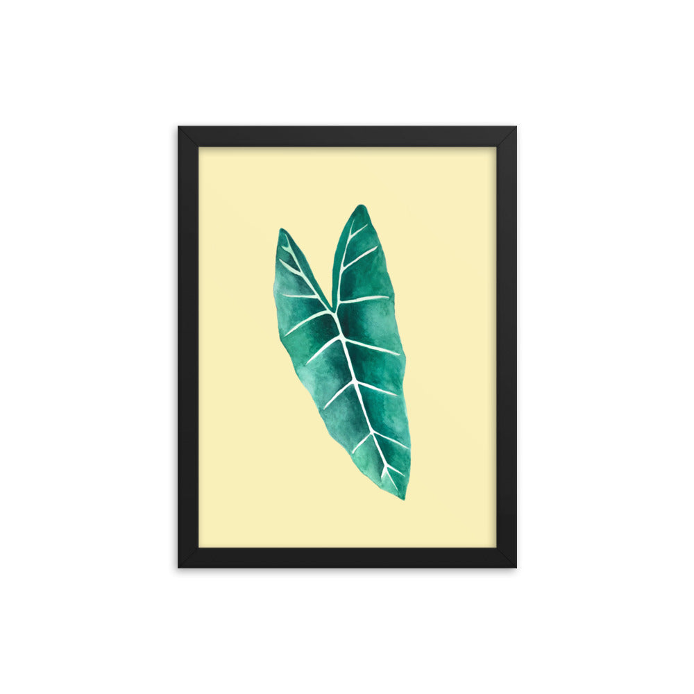 Alocasia Framed poster