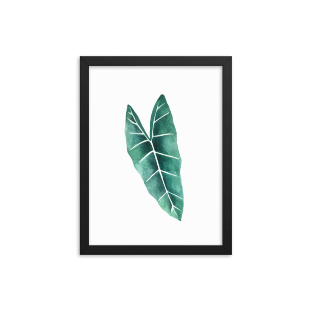 Alocasia Framed poster