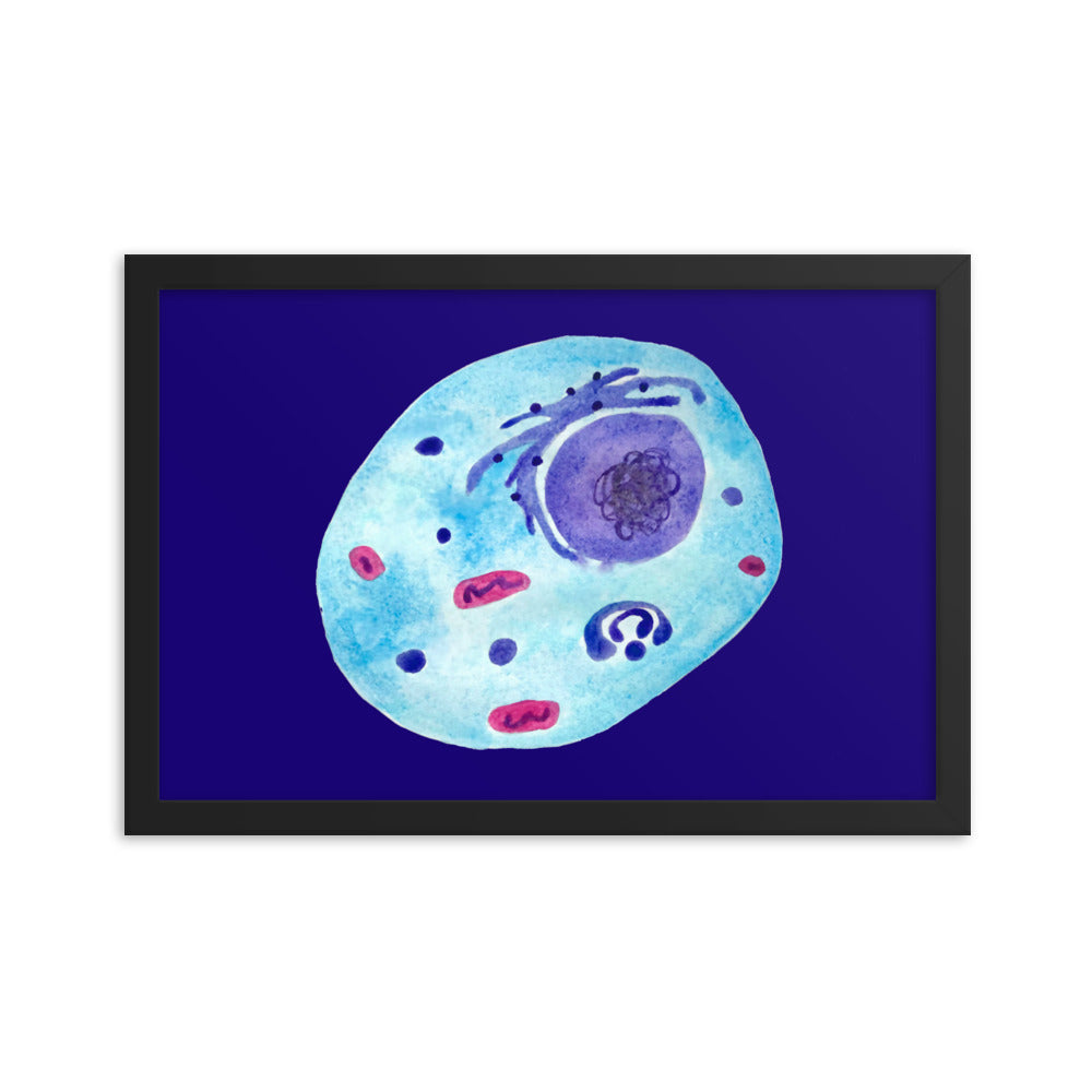 Animal cell Framed poster
