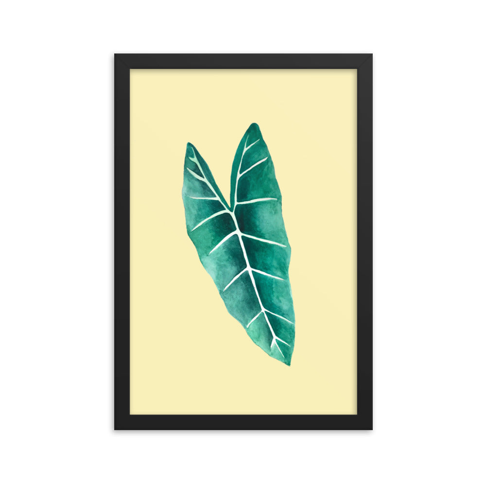 Alocasia Framed poster