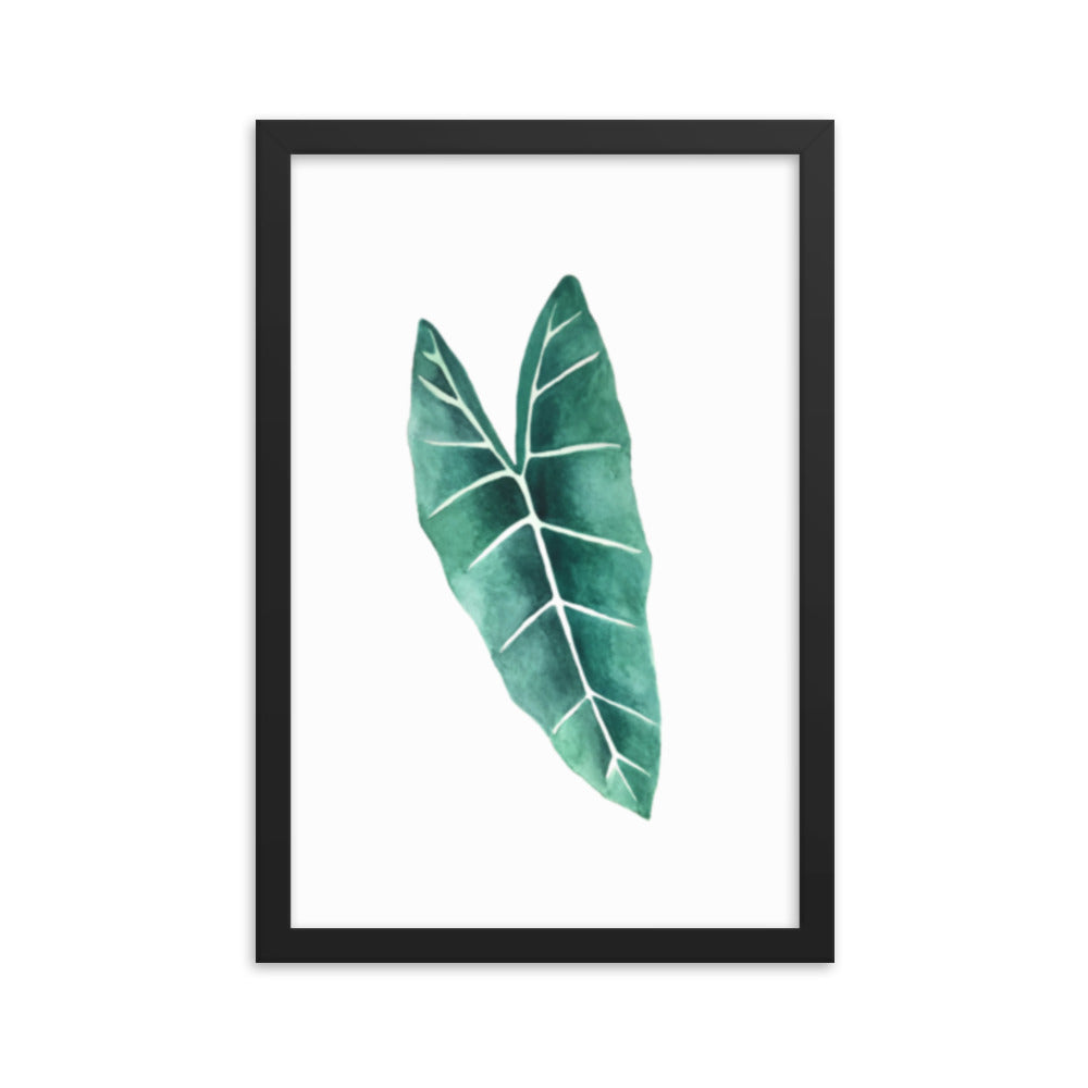 Alocasia Framed poster