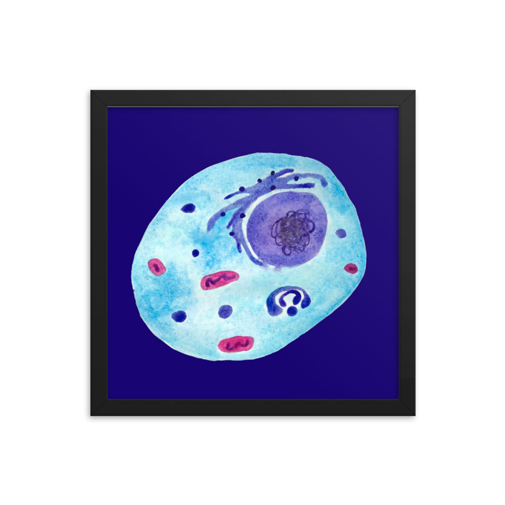 Animal cell Framed poster