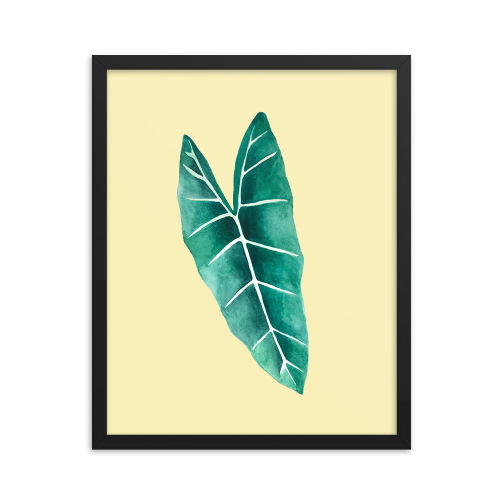 Alocasia Framed poster