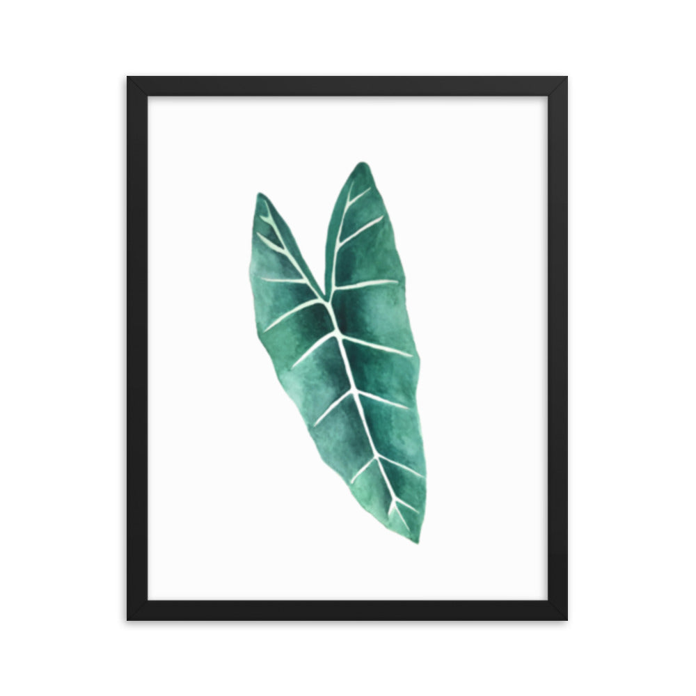 Alocasia Framed poster
