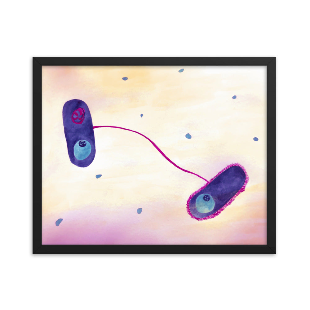 E. coli Framed poster