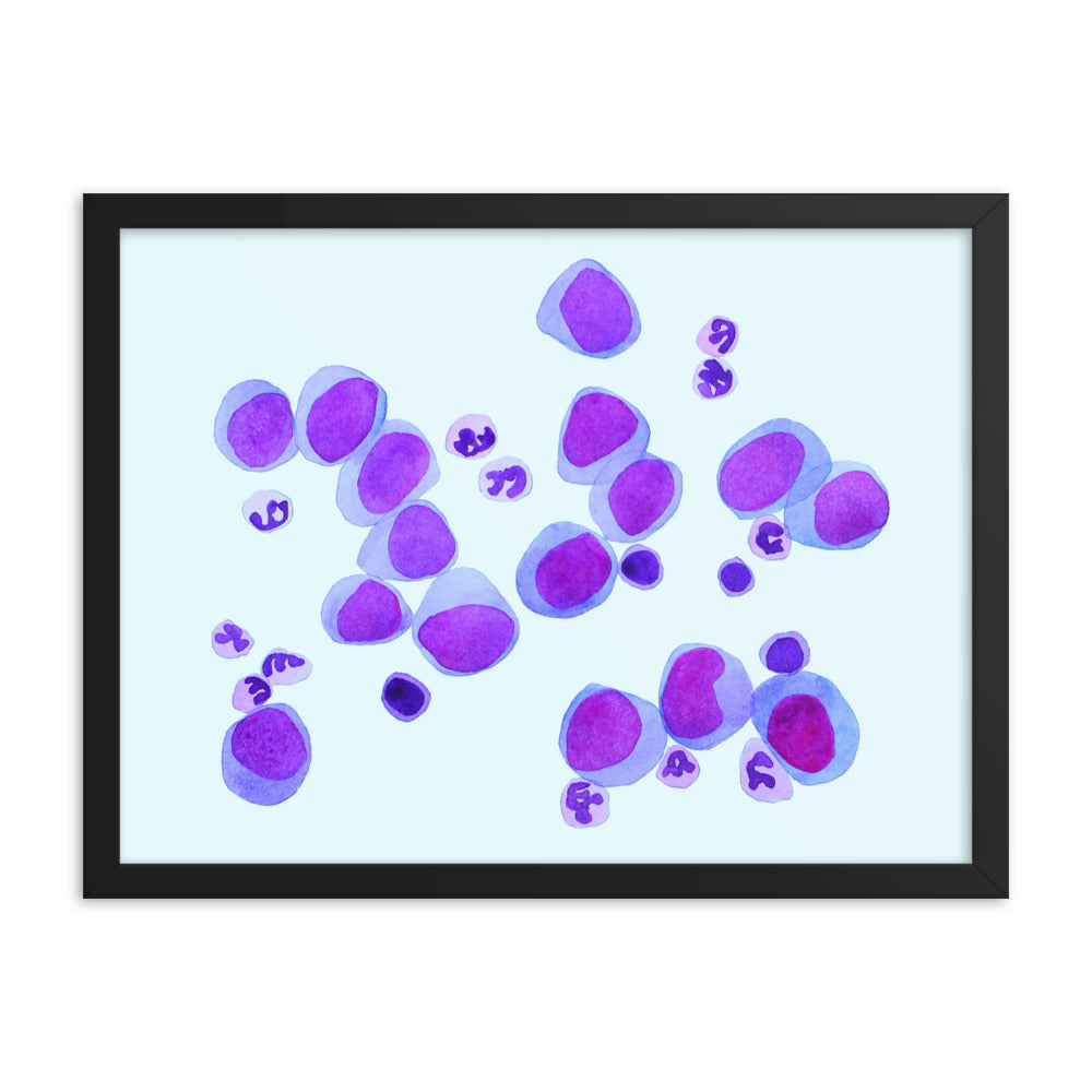 Blood cells on blue Framed poster