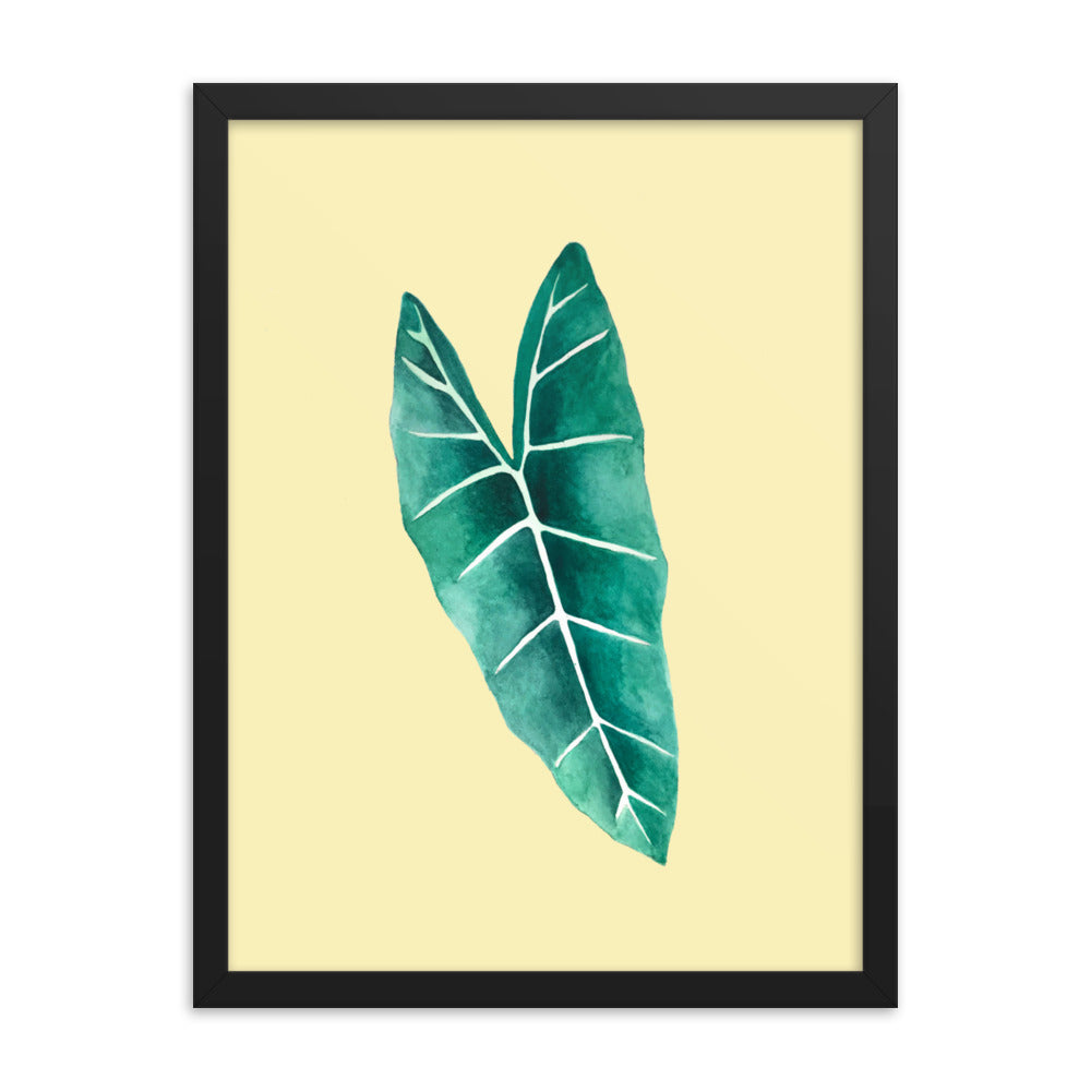 Alocasia Framed poster
