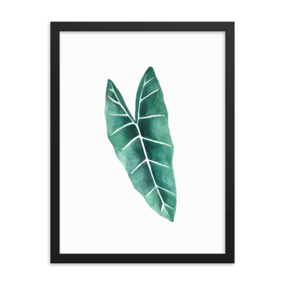 Alocasia Framed poster