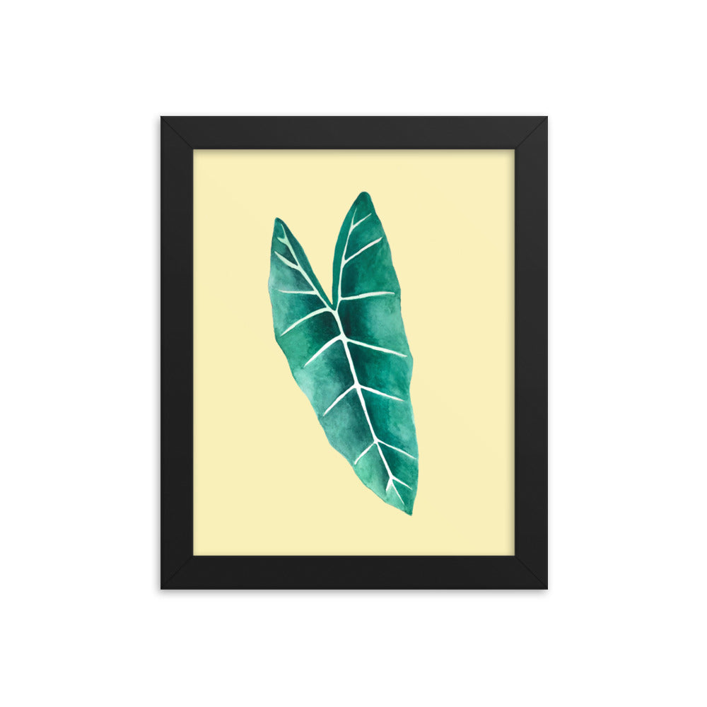 Alocasia Framed poster