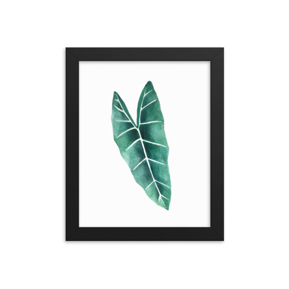 Alocasia Framed poster