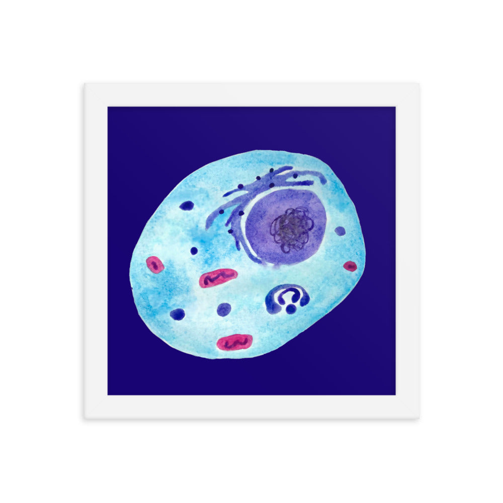 Animal cell Framed poster