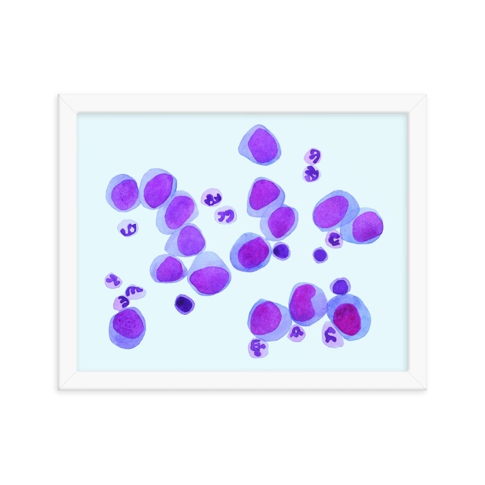 Blood cells on blue Framed poster