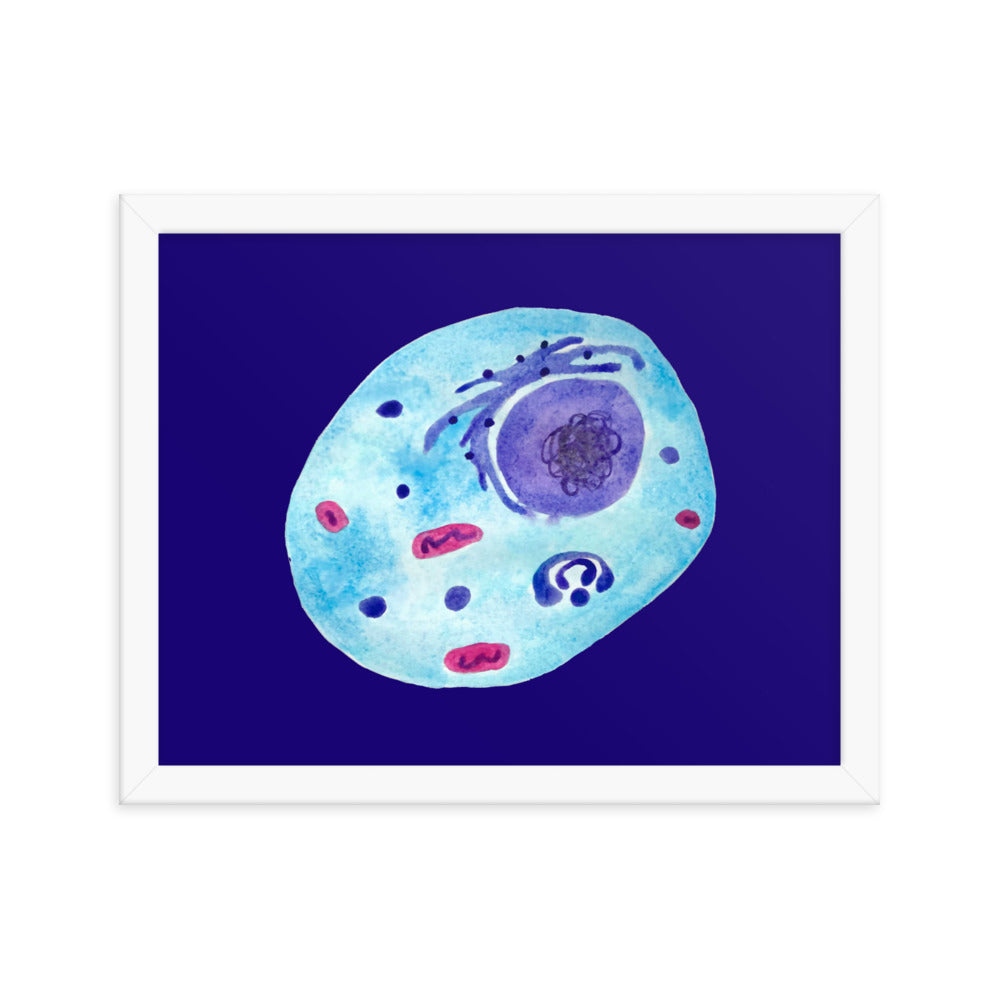 Animal cell Framed poster