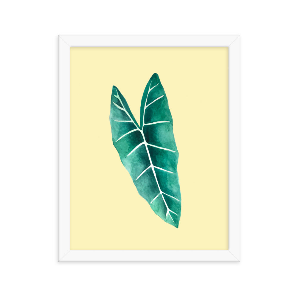 Alocasia Framed poster