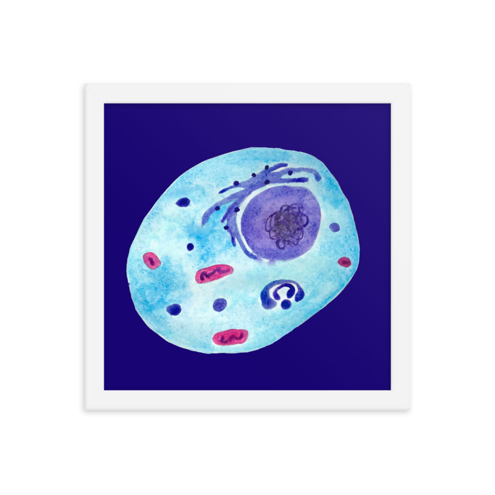 Animal cell Framed poster