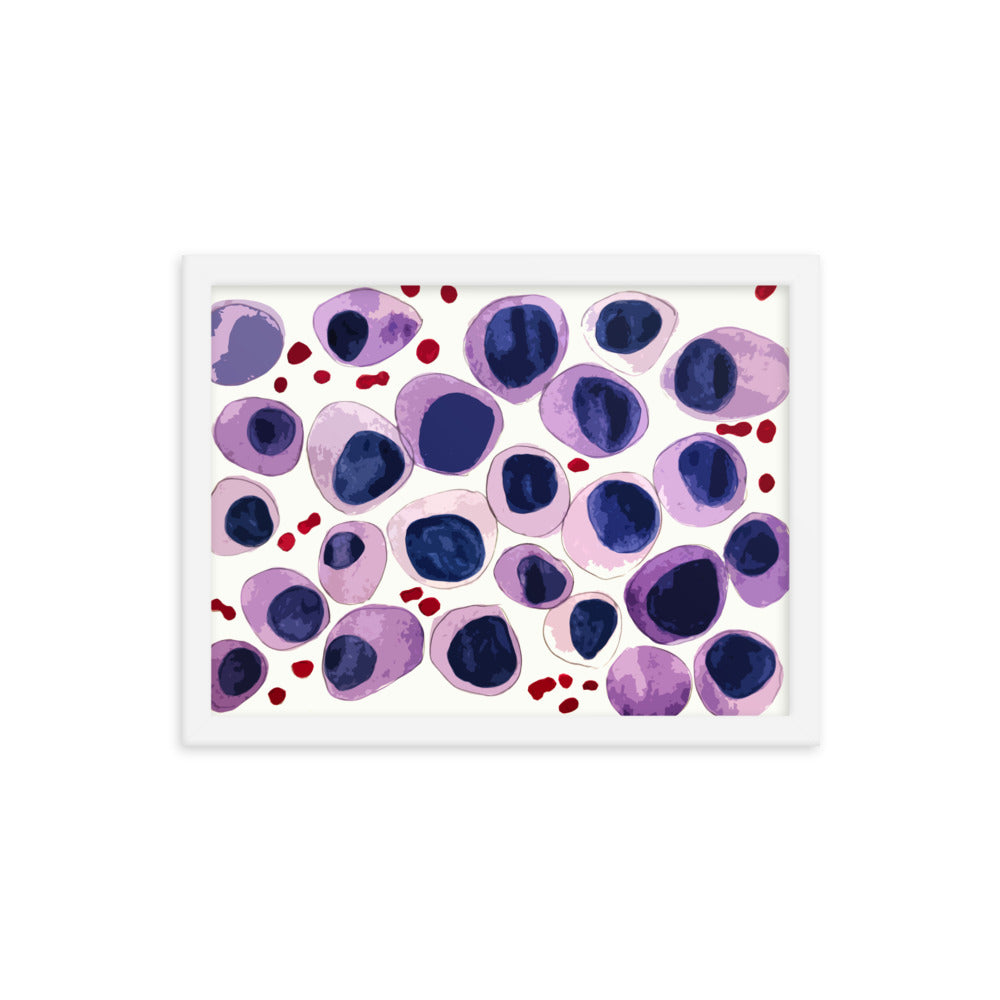 Blood cells Framed poster