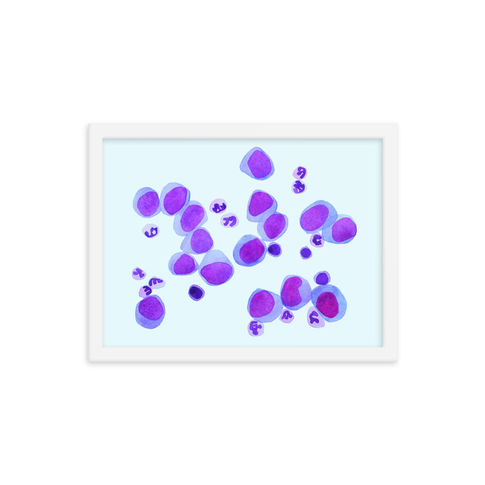 Blood cells on blue Framed poster
