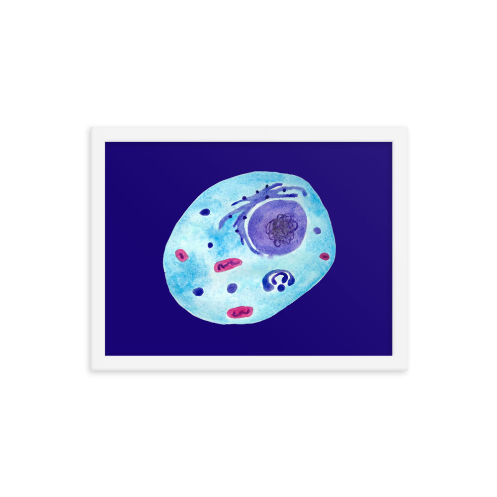 Animal cell Framed poster