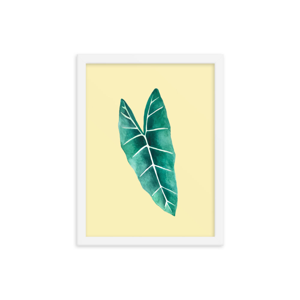 Alocasia Framed poster