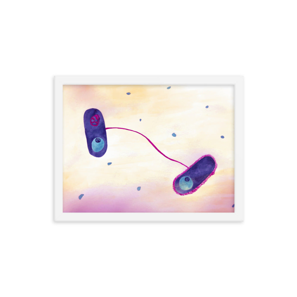 E. coli Framed poster