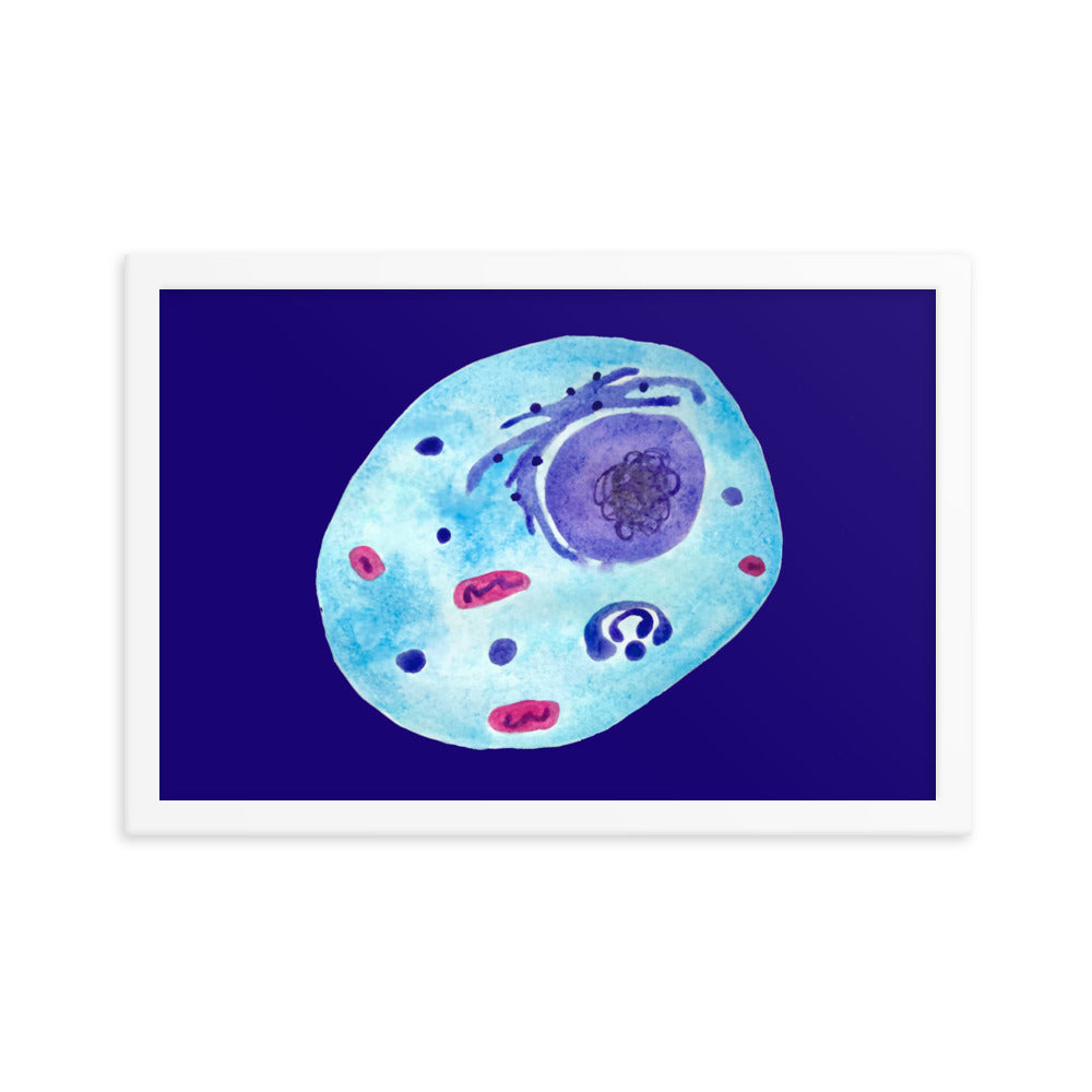 Animal cell Framed poster