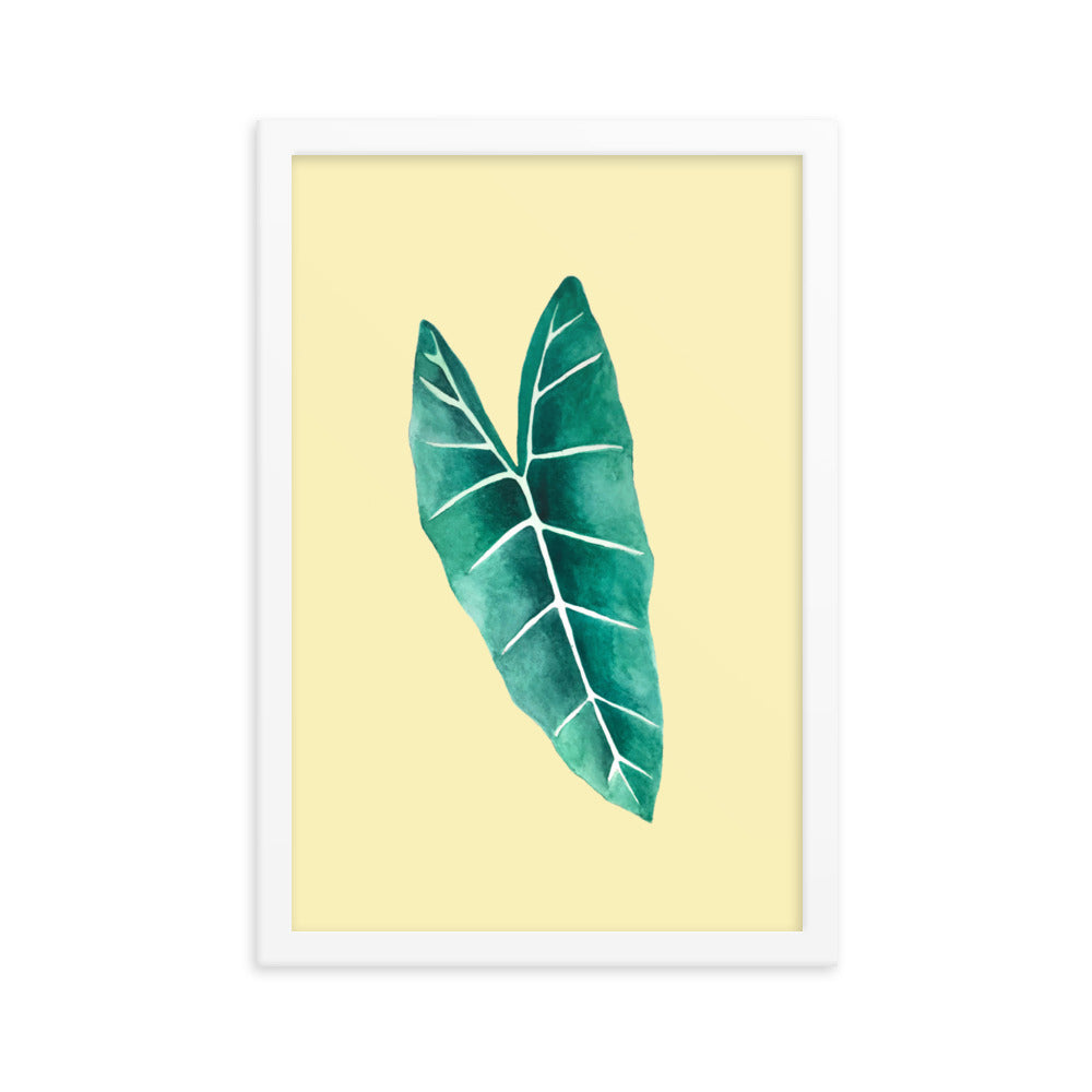 Alocasia Framed poster