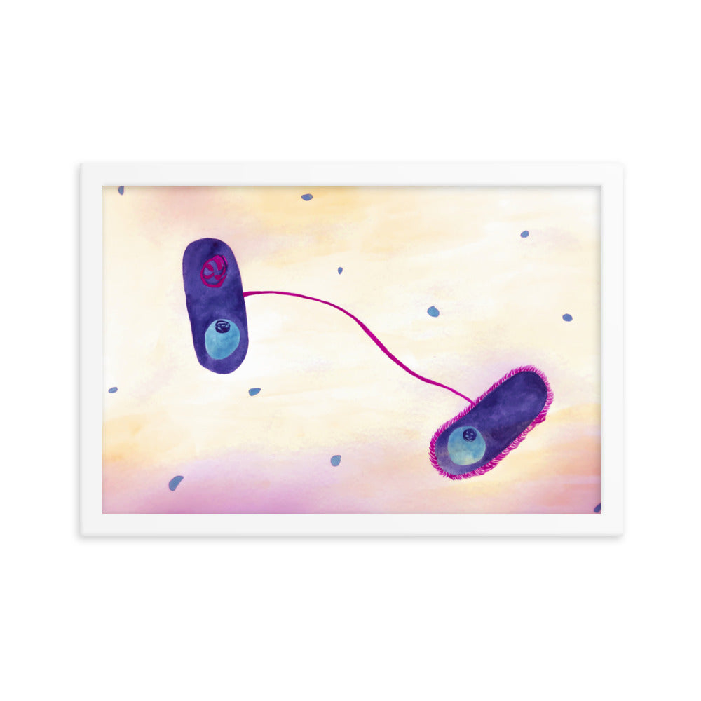 E. coli Framed poster