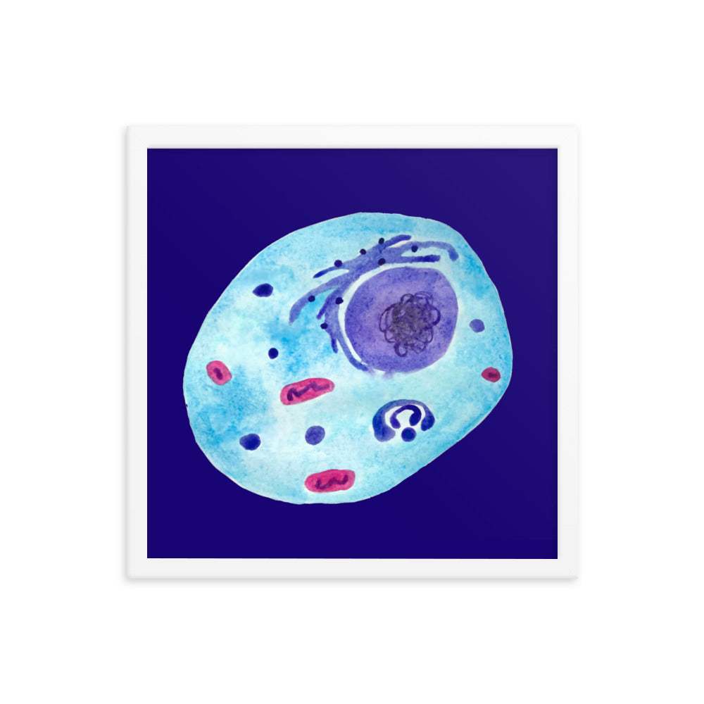 Animal cell Framed poster