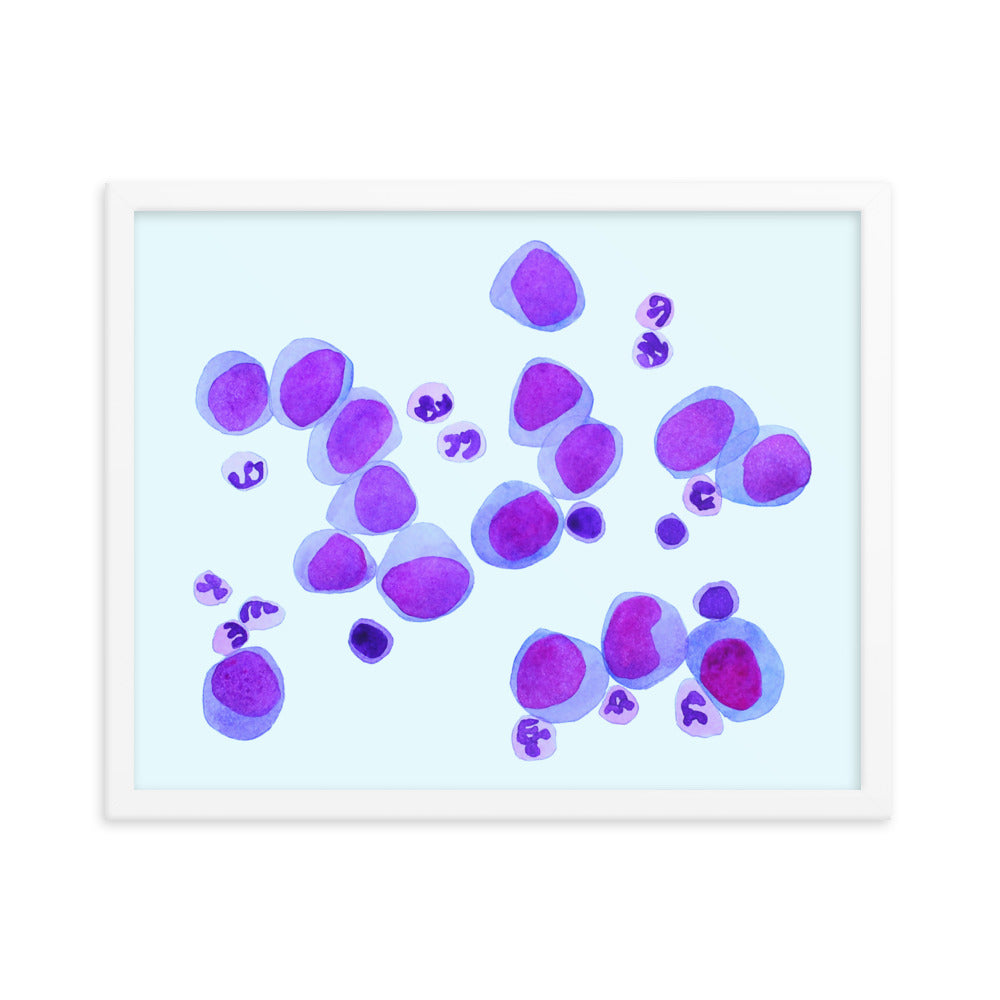 Blood cells on blue Framed poster