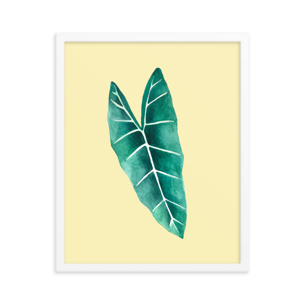 Alocasia Framed poster