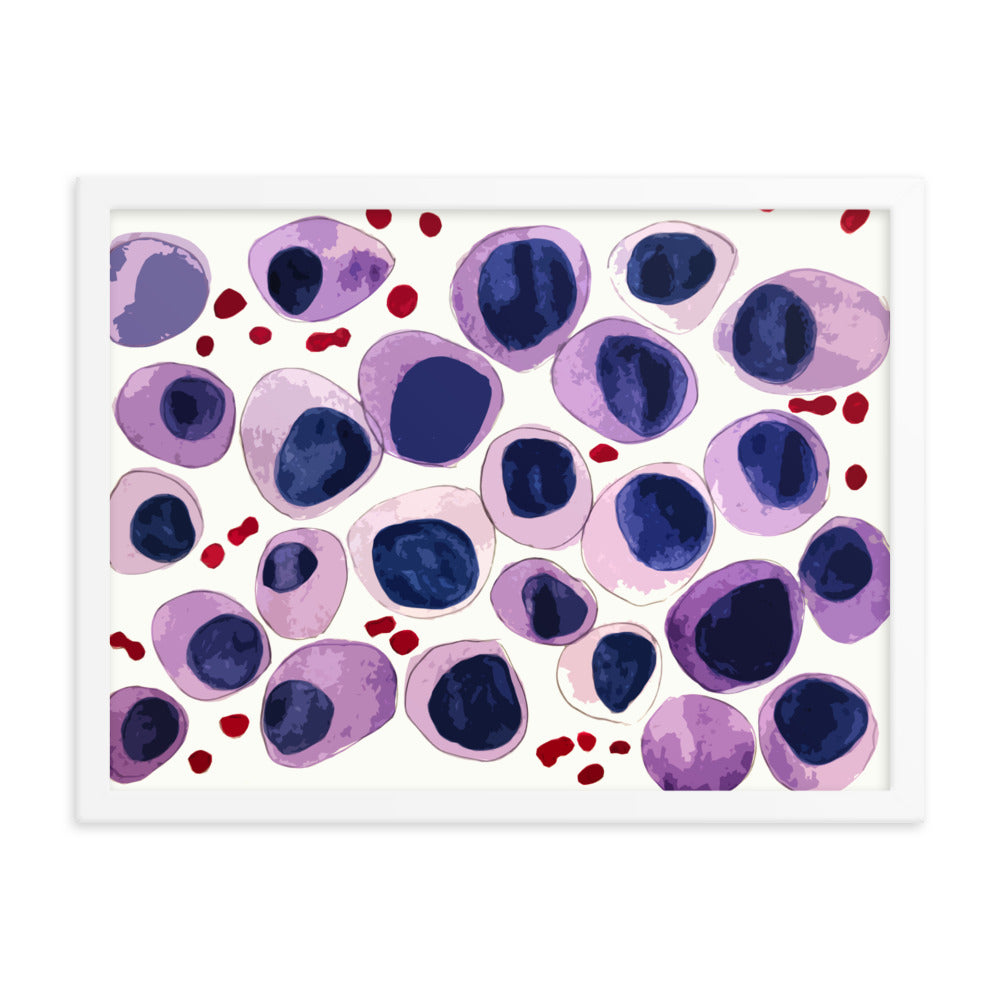 Blood cells Framed poster