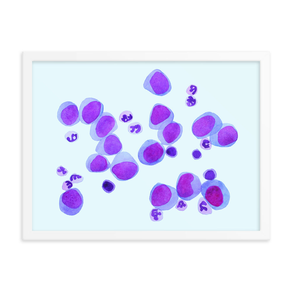 Blood cells on blue Framed poster