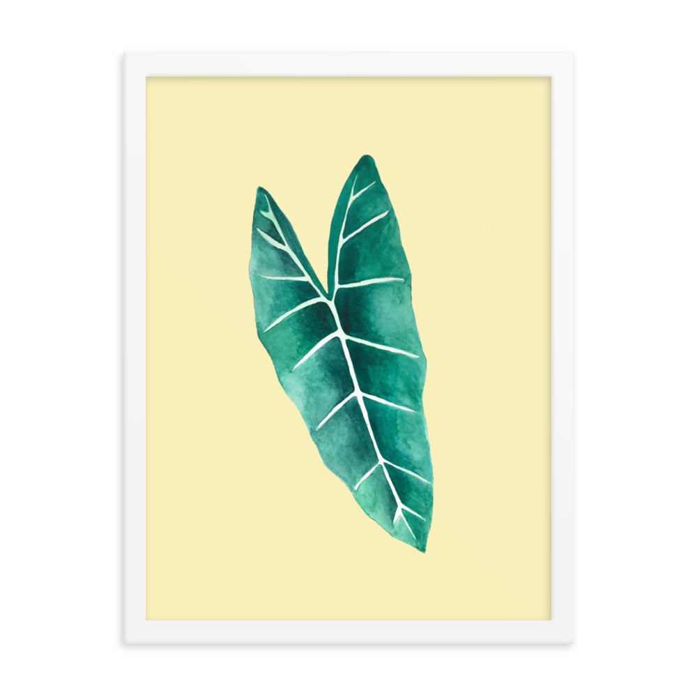 Alocasia Framed poster