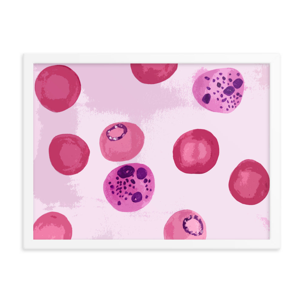 Plasmodium Framed poster