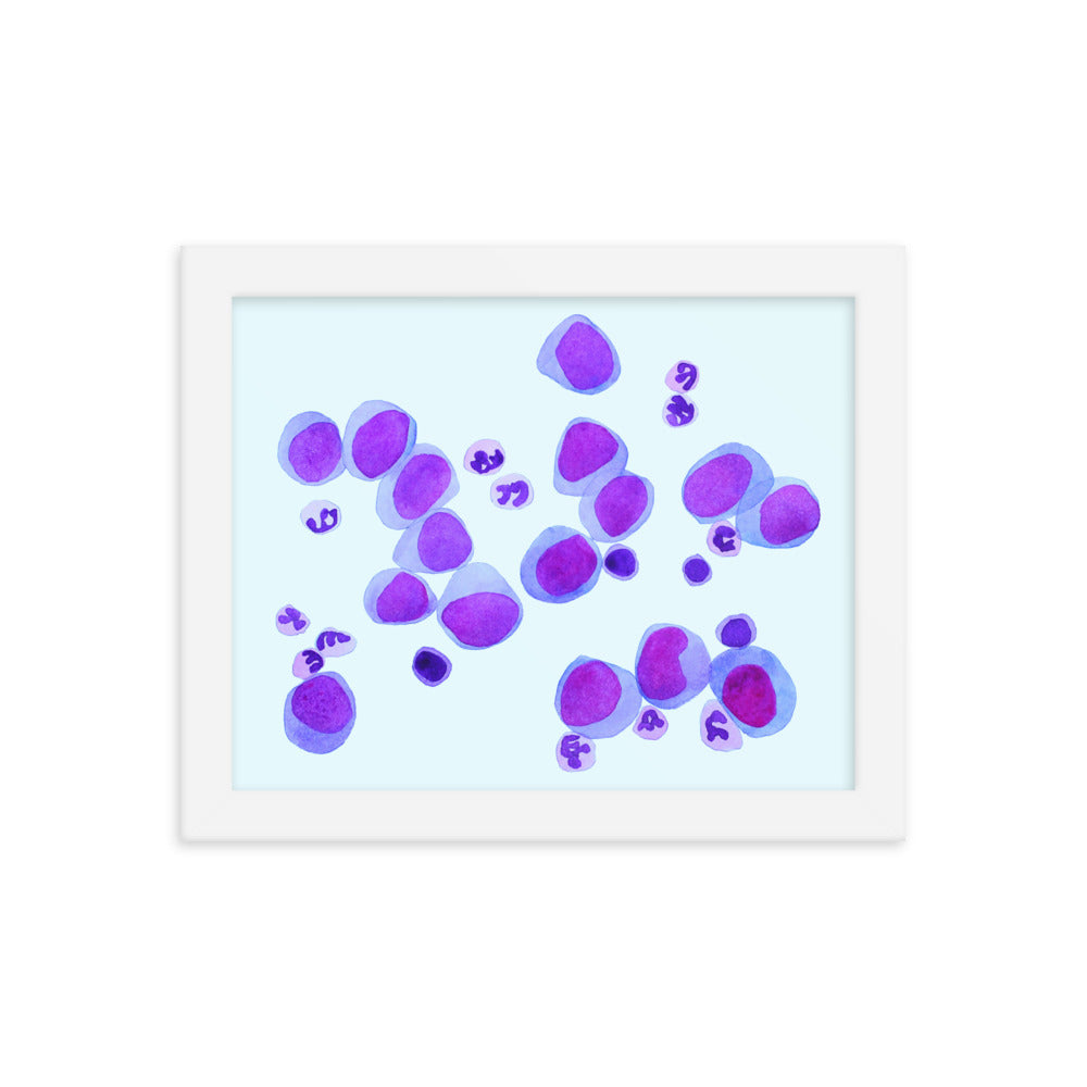 Blood cells on blue Framed poster