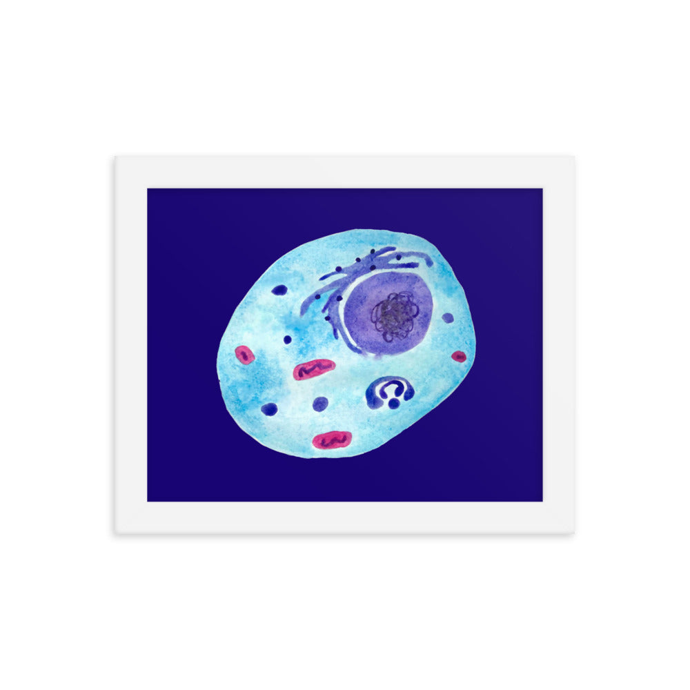 Animal cell Framed poster