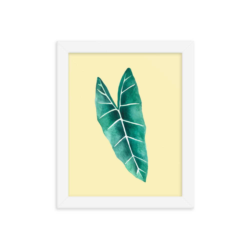 Alocasia Framed poster