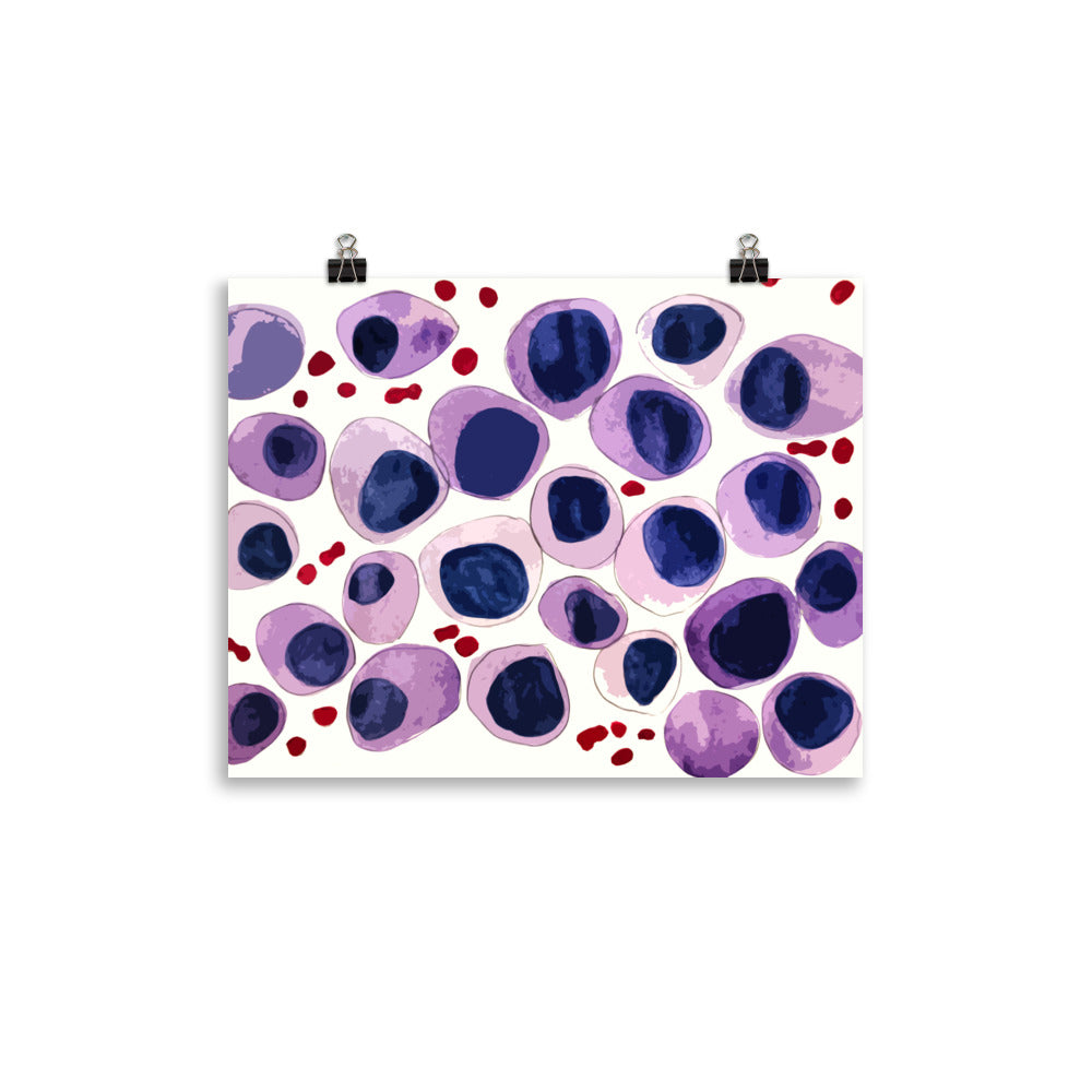 Blood cells Poster