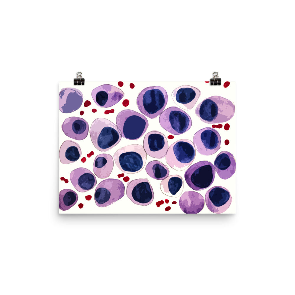 Blood cells Poster