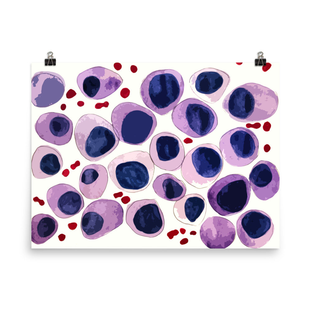 Blood cells Poster