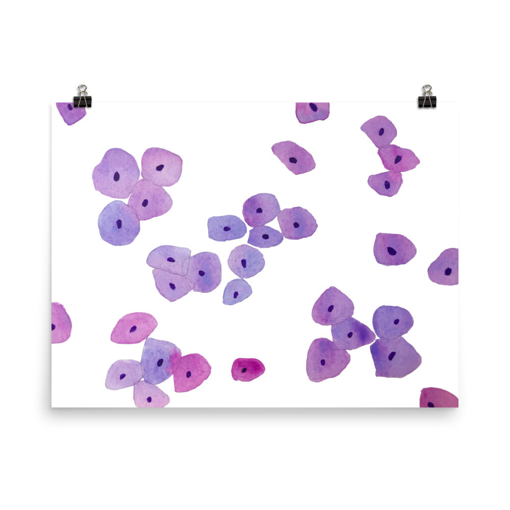 Epithelium Poster
