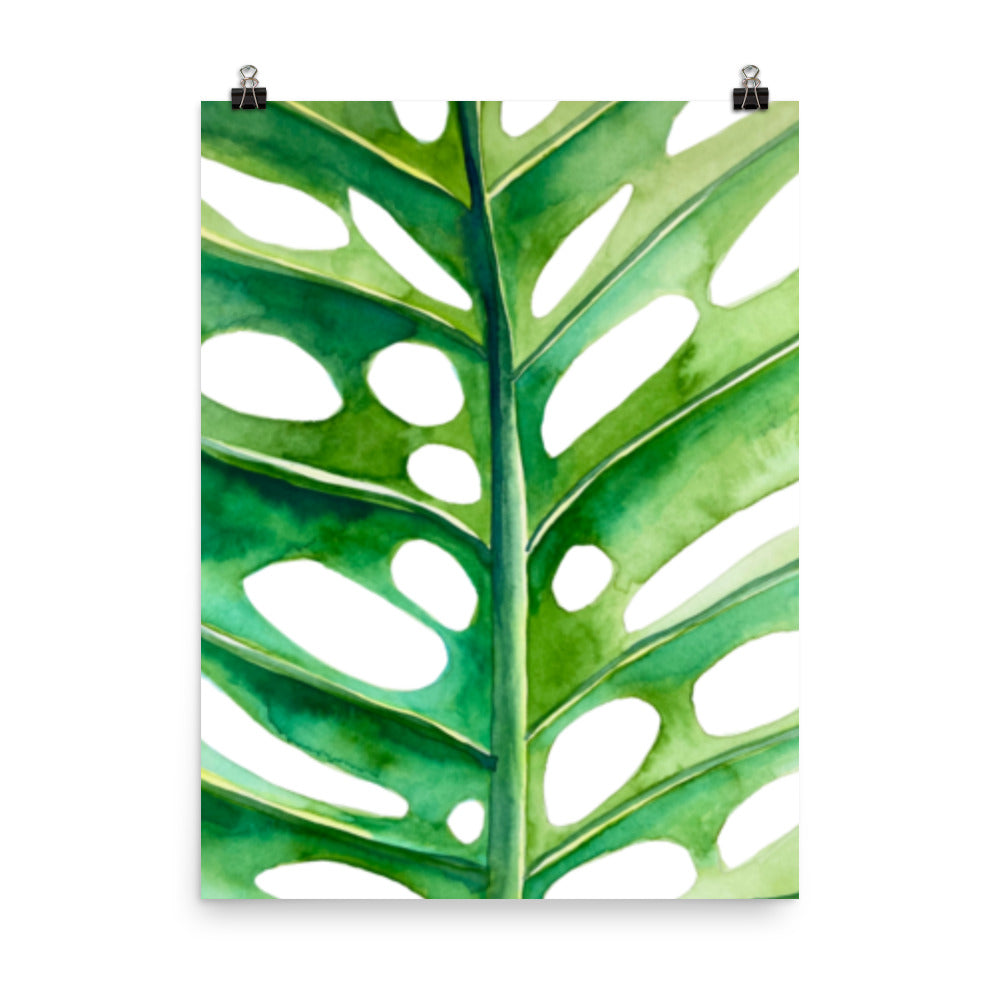 Monstera Poster